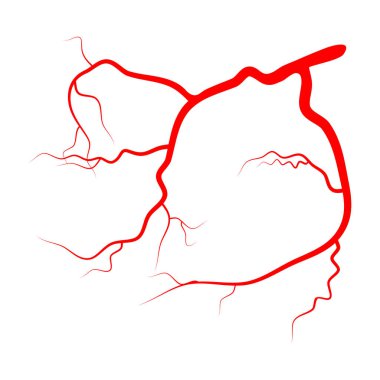 göz damar vektör simgesi simgesi tasarım.