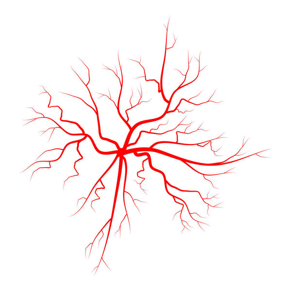 spider vein vector symbol icon design. Beautiful illustration is