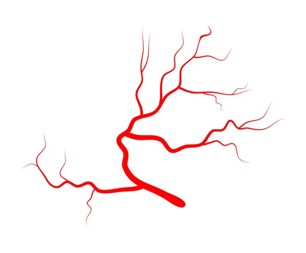 Design de ícone de símbolo de vetor de veia ocular . — Vetor de Stock