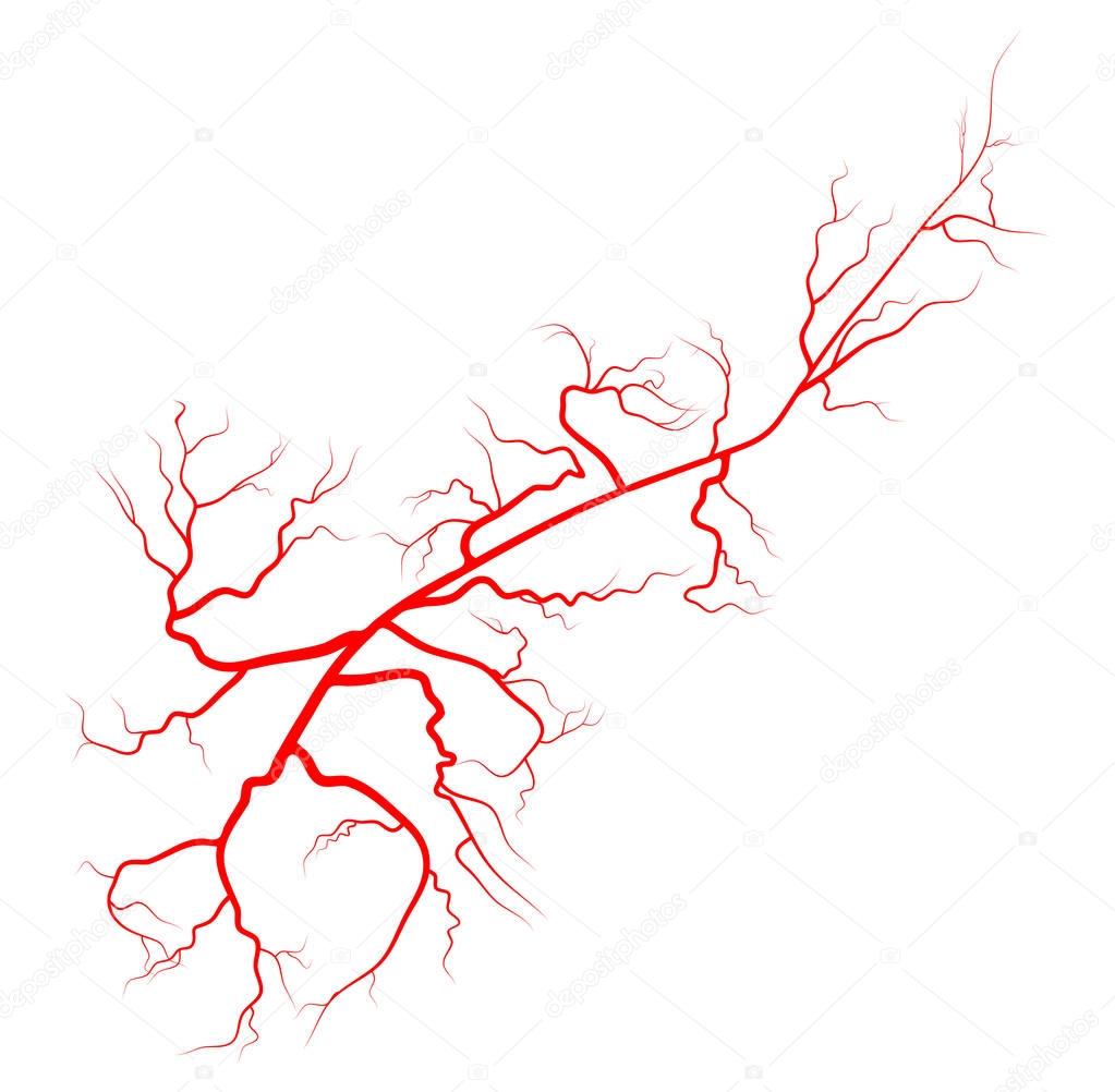 spider vein vector symbol icon design. Beautiful illustration is