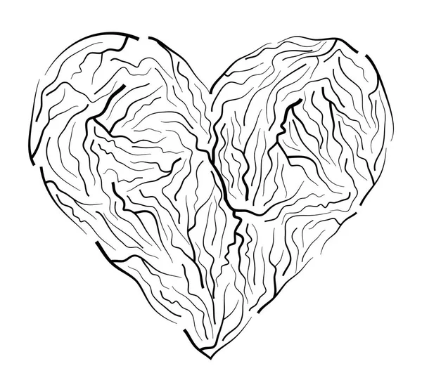 Žíly, srdeční vektor symbol ikony designu. Krásné ilustrace iso — Stockový vektor