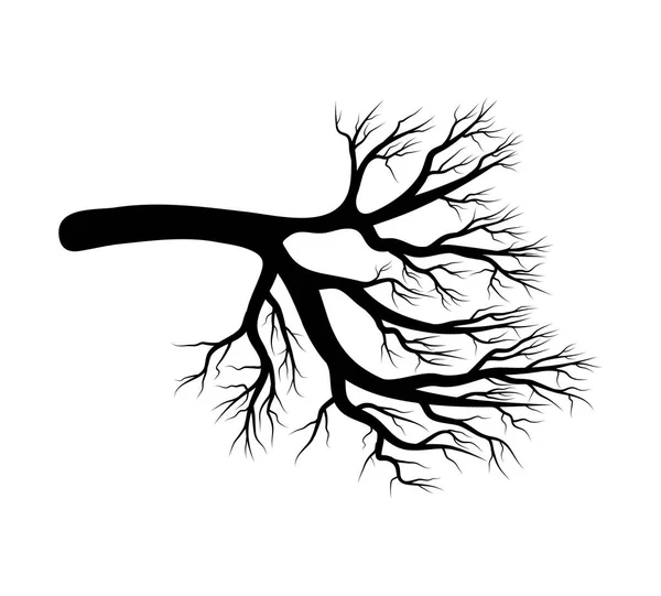Bare branch tree silhouette vector symbol icon design. Beautiful