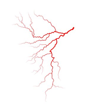 kan sistemi vektör simgesi simgesi tasarım damar. Güzel illustrat