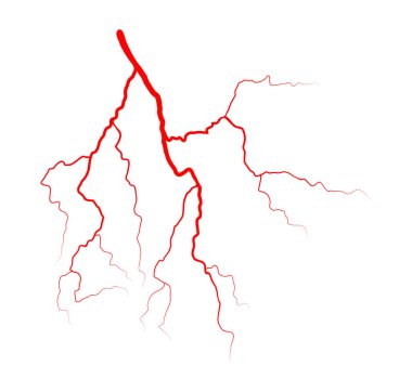 kan sistemi vektör simgesi simgesi tasarım damar. Güzel illustrat