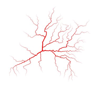 kan sistemi vektör simgesi simgesi tasarım damar. Güzel illustrat