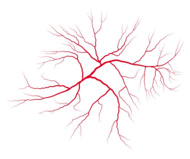 kan sistemi vektör simgesi simgesi tasarım damar. Güzel illustrat