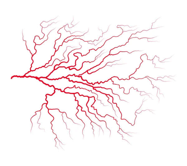 Дизайн векторной символики вены системы крови. Красивый иллюстрат — стоковый вектор