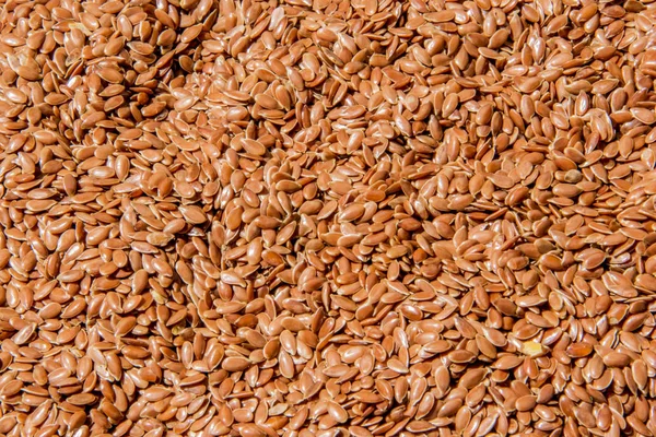 Linseed  background photo. Beautiful picture, background, wallpa — Stock Photo, Image