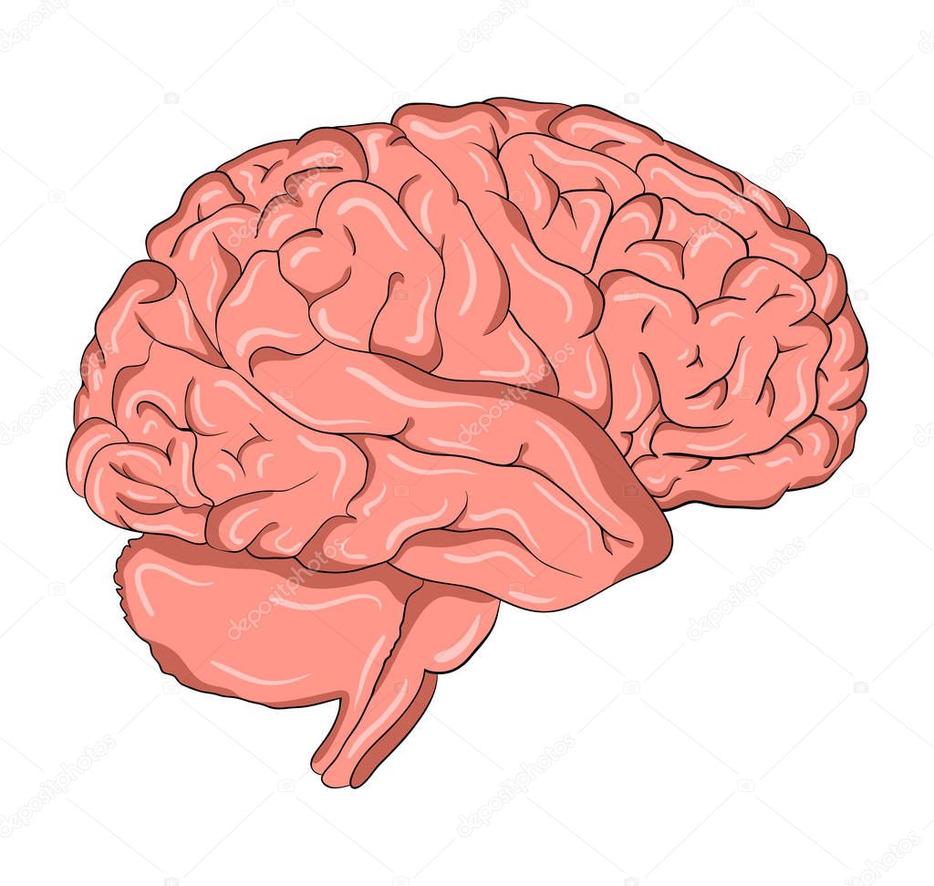 Piensa., Aislado, Tarjeta, Contexto, Diseño Imagen Vectorial de