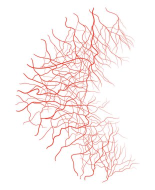 göz damar vektör simgesi simgesi tasarım. Güzel illüstrasyon Isola