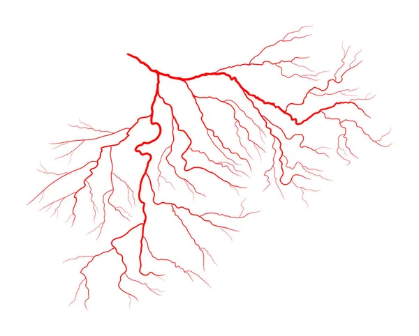 Disegno icona simbolo vettoriale della vena oculare. Bella illustrazione isola — Vettoriale Stock