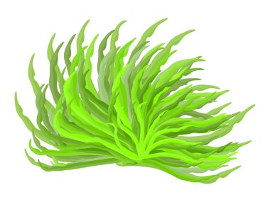 yosun vektör simgesi simgesi tasarım. Güzel illüstrasyon izole