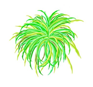 yosun vektör simgesi simgesi tasarım. Güzel illüstrasyon izole