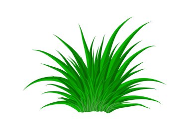 çim vektör simgesi simgesi tasarım. Güzel illüstrasyon izole