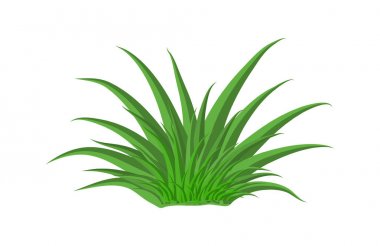 çim vektör simgesi simgesi tasarım. Güzel illüstrasyon izole