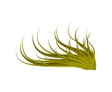 çim vektör simgesi simgesi tasarım. Güzel illüstrasyon izole