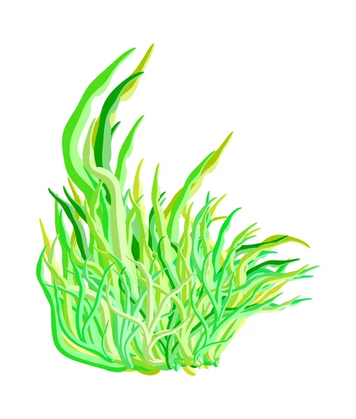 yosun vektör simgesi simgesi tasarım. Güzel illüstrasyon izole