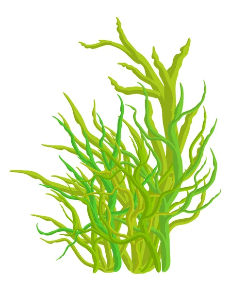 藻类矢量符号图标设计。孤立的美丽图 — 图库矢量图片