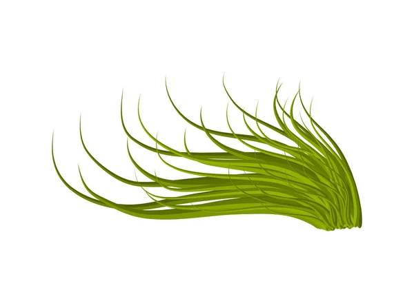 Дизайн иконки травяного вектора. Красивая иллюстрация изолирована — стоковый вектор