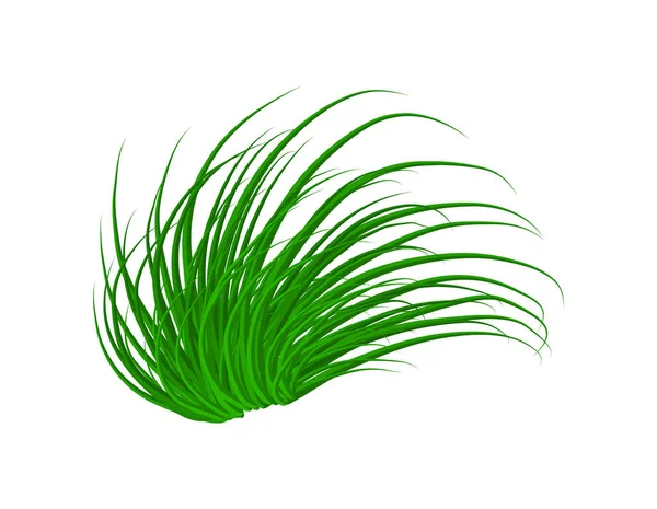 çim vektör simgesi simgesi tasarım. Güzel illüstrasyon izole
