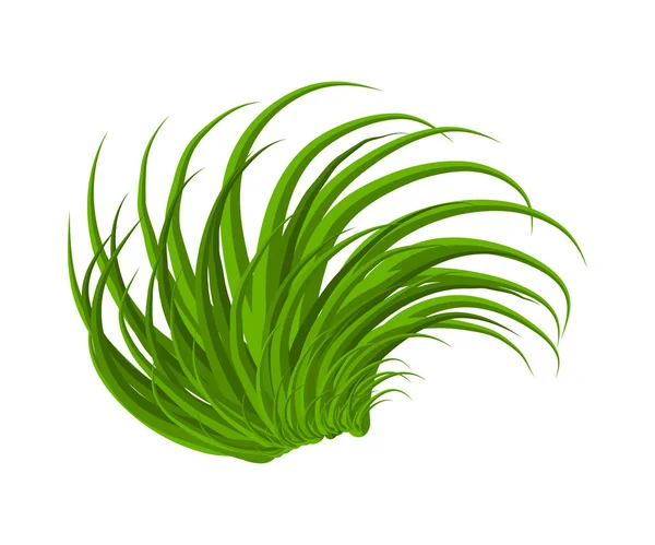 çim vektör simgesi simgesi tasarım. Güzel illüstrasyon izole