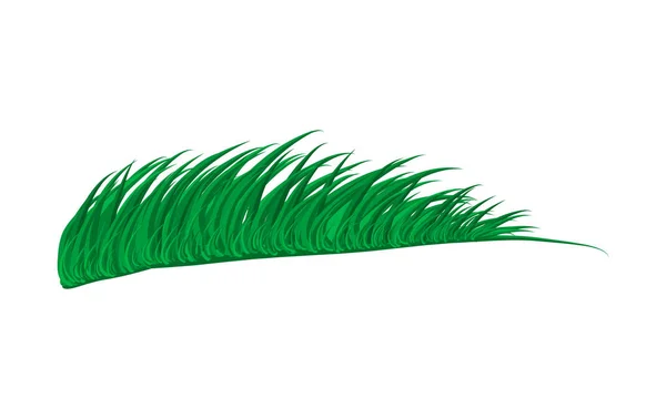 Grasvektorsymbol-Design. schöne Illustration isoliert — Stockvektor