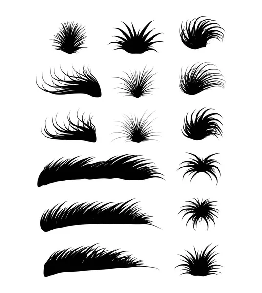 Herbe vectoriel symbole icône design. Belle illustration isolée — Image vectorielle