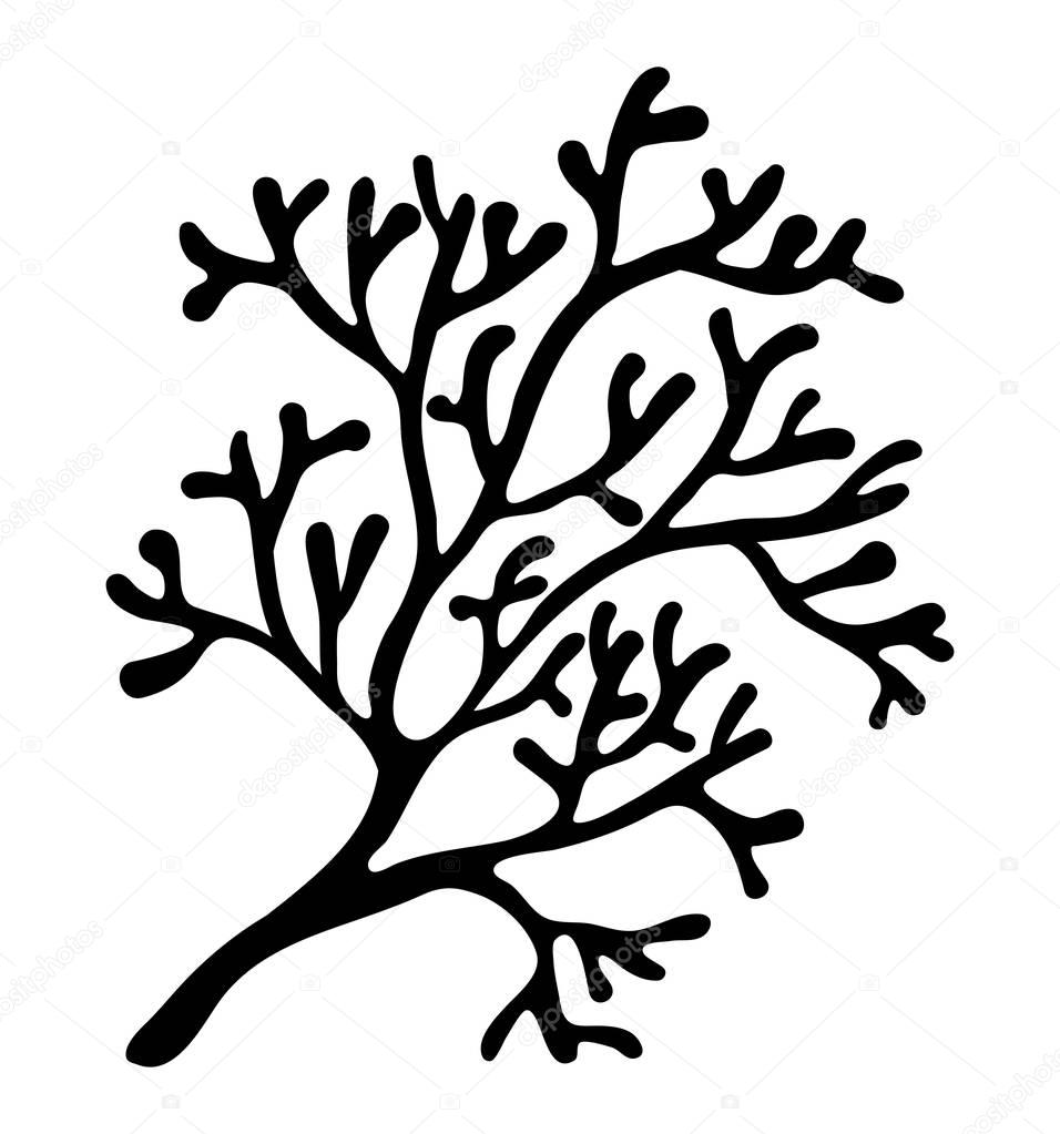 Red algae silhouette vector symbol icon design. Beautiful illustration isolated on white backgroun