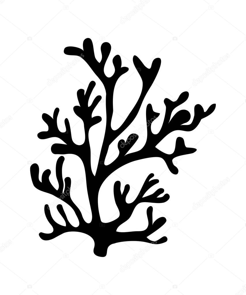 Red algae silhouette vector symbol icon design. Beautiful illustration isolated on white backgroun
