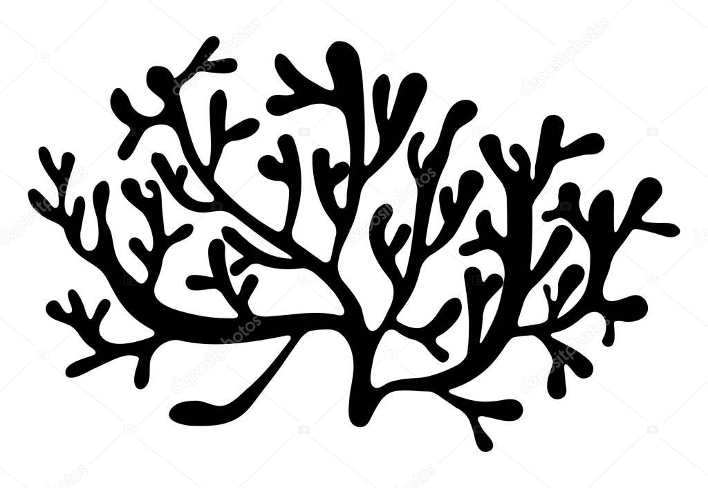 Red algae silhouette vector symbol icon design. Beautiful illustration isolated on white backgroun