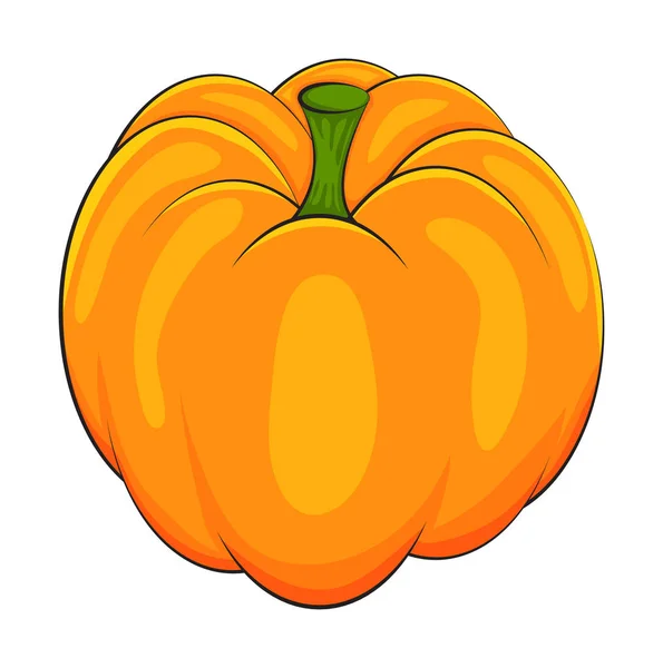 Diseño de icono de símbolo de vector de calabaza. Hermosa ilustración isola — Vector de stock