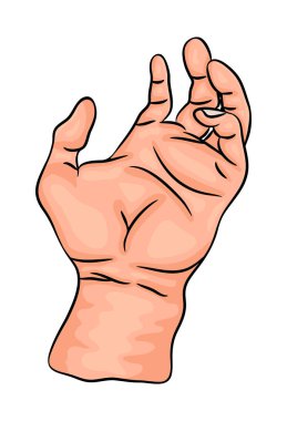 el palm vektör simgesi simgesi tasarım. Güzel illüstrasyon isol