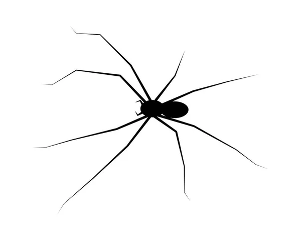 Spinne schwarze Witwe Silhouette Vektor Symbol-Symbol-Design. schönheit — Stockvektor