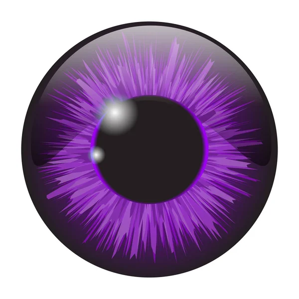 Púrpura iris ojo realista vector conjunto diseño aislado en blanco — Archivo Imágenes Vectoriales