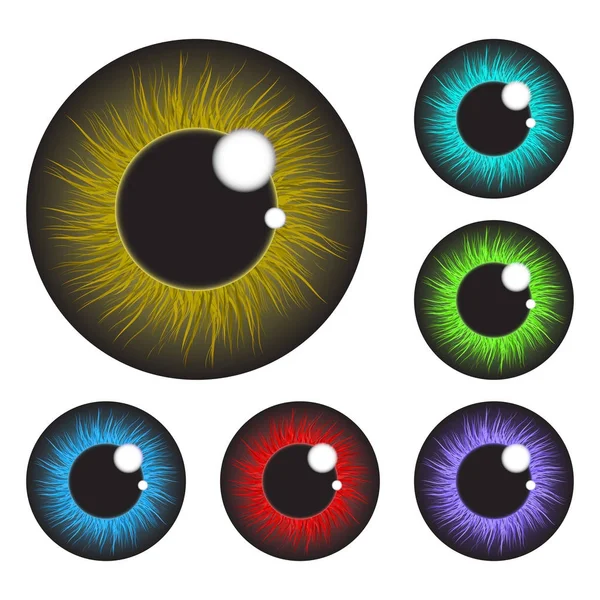 Iris eye realistic  vector set design isolated on white backgro — Stock Vector