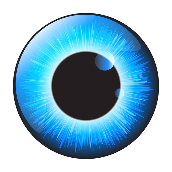 Blue iris eye realistic  vector set design isolated on white bac — Stok Vektör