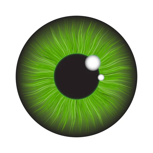 Verde iris ojo realista vector conjunto diseño aislado en blanco ba — Archivo Imágenes Vectoriales