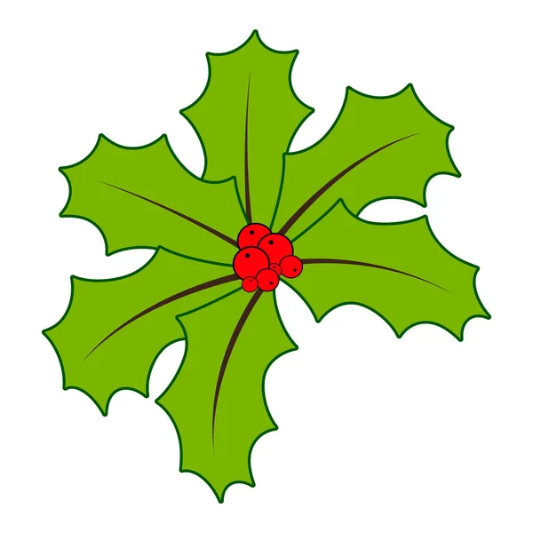 Holly berry na Vánoce izolovaných na bílém pozadí — Stockový vektor
