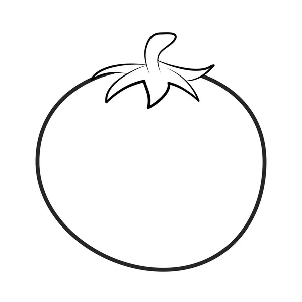 Contour tomate pour livre à colorier isolé sur fond blanc — Image vectorielle