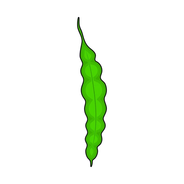 Karikatura zelený hrášek zeleniny izolované na bílém pozadí — Stockový vektor
