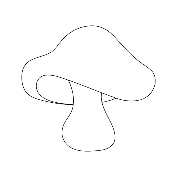 stock vector boletus mushroom outline isolated on white background