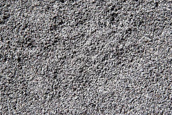 Closeup of dried poppy seeds as a background. — Stock Photo, Image