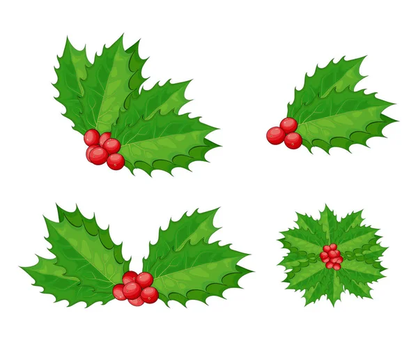 Juego de vectores de bayas de acebo navideño para composición de Navidad. Decorativ — Vector de stock