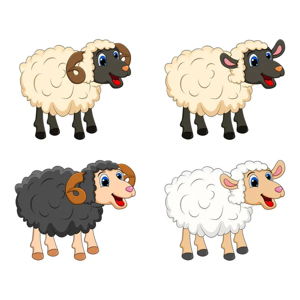 Grupo animal de granja. oveja blanca, cordero, diseño de carnero negro isola — Vector de stock