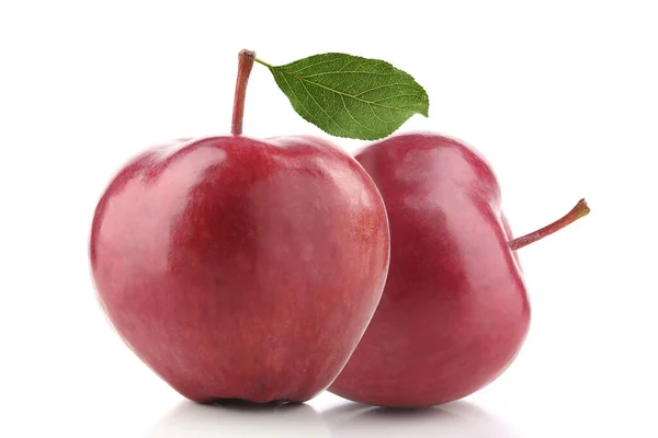 Два Красных Яблока Изолированы Белом Фоне — стоковое фото