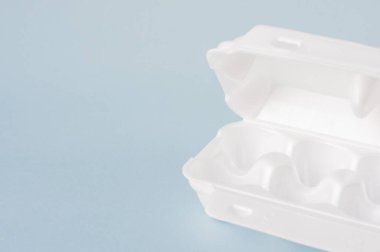 Boş yumurta kutusu, yumurta kutusu. Boşluğu kopyala.