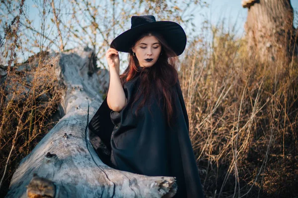 一个年轻的巫婆 皮肤苍白 嘴唇黑 戴着黑色的帽子 衣服和斗篷 在一棵倒下的树的背景下 是一片黄色 干枯的青草和蓝天 幻想的形象 — 图库照片