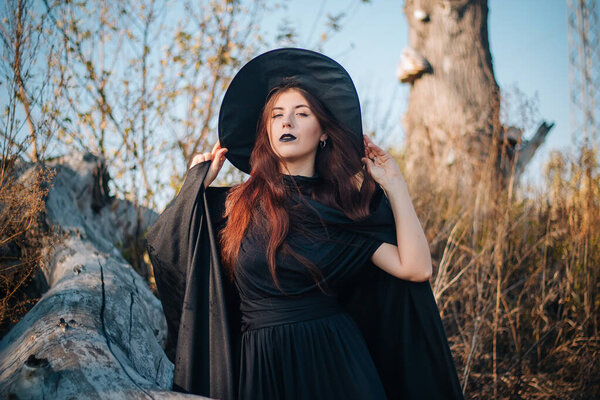 A young witch with pale skin and black lips, wearing a black hat, dress and cloak. In autumn, against the background of a fallen tree, yellow, dried grass and blue sky. halloween, magic, fantasy image.