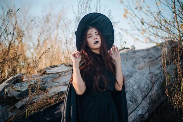 一个年轻的巫婆 皮肤苍白 嘴唇黑 戴着黑色的帽子 衣服和斗篷 在一棵倒下的树的背景下 是一片黄色 干枯的青草和蓝天 幻想的形象 — 图库照片
