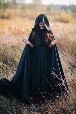 Siyah elbiseli bir kız, kapüşonlu bir kız ormanın arka planındaki yüksek kuru bir çimenlikte duruyor. Cadı Kostümü, Satanist, Büyücü, Cadılar Bayramı Kostümü.